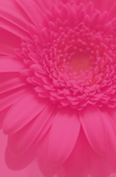 Meditación Del amor propio